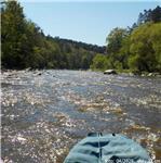 Pod jezem Pěnkava za stavu 12 kubíků v Nespekách, 04/2025