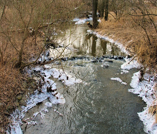 Pařezí Pařezí