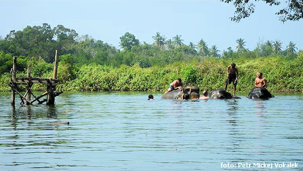 Klong Prao – Koupání slonů. Klong Prao – Koupání slonů.