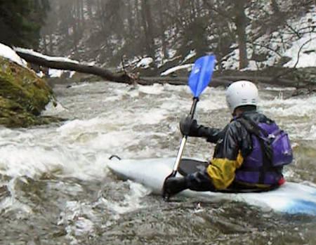 Padle stromy na Kamenici Padle stromy na Kamenici