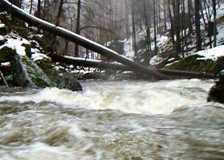 Padle stromy na Kamenici Padle stromy na Kamenici