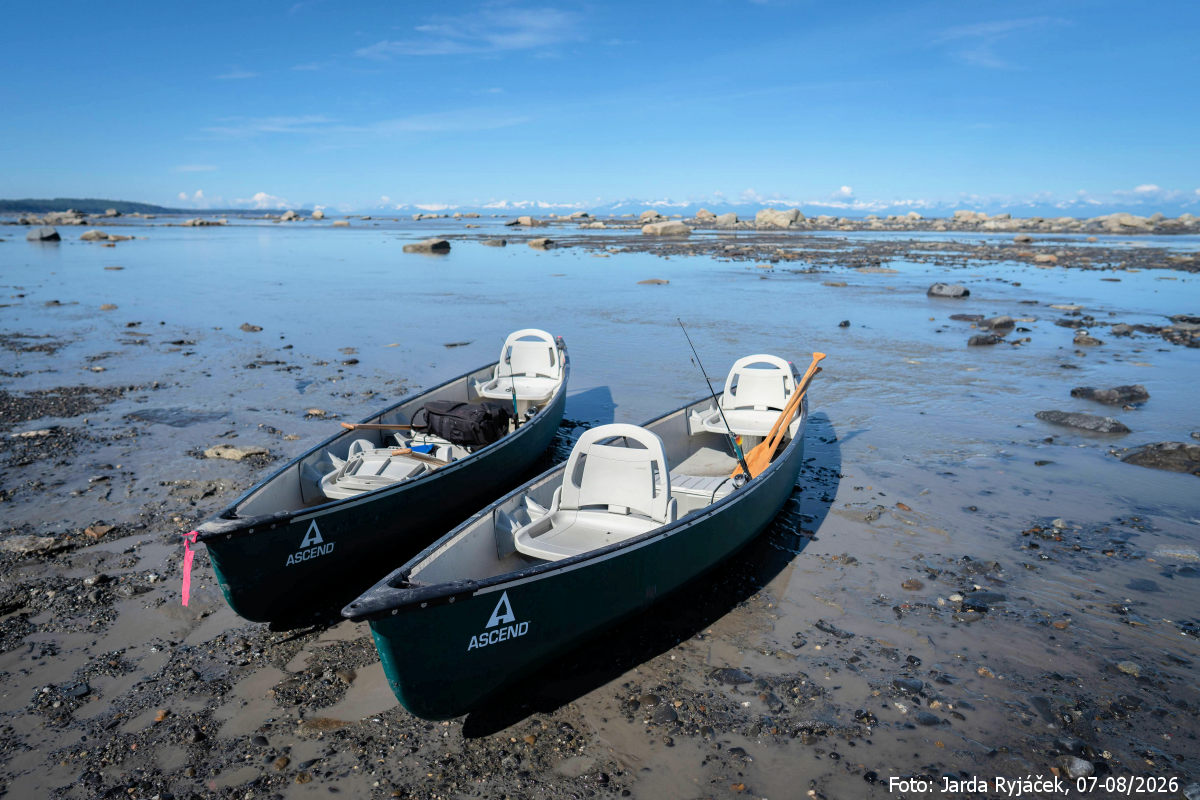 Záliv Cook Inlet za odlivu