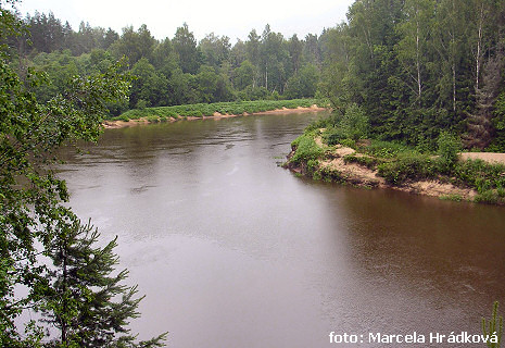 Gauja Gauja