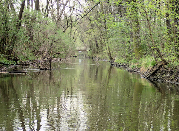 Před hranicemi Před hranicemi
