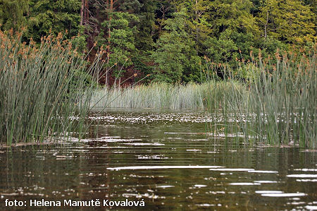 Vjezd na jezero Kryzne