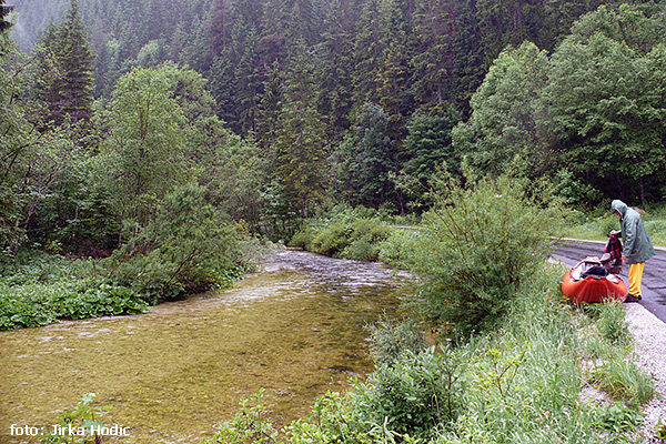 Walster Walster