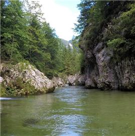 Schwarza pod Singerin